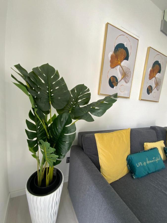 Luxury Loft * Ribeira Grande